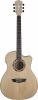 Washburn AG40 CE FN Washburn AG40 CE FN